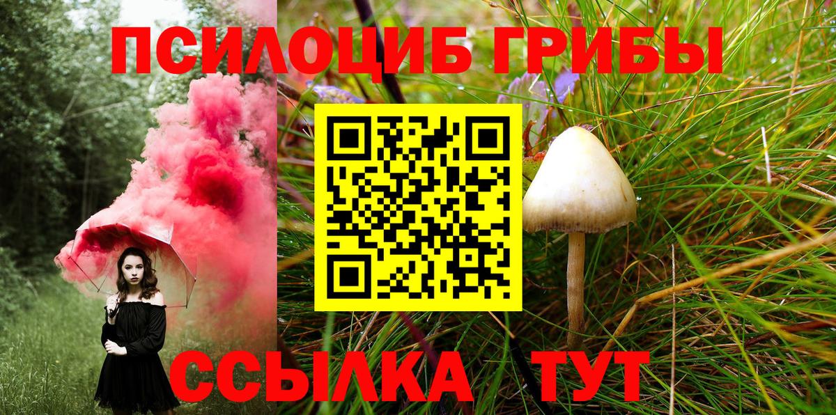 Киселёвск  Псилоцибиновые грибы Psilocybe  где купить наркоту  Вход с VPN 